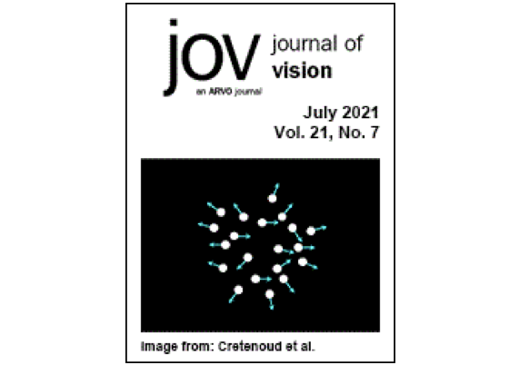 Paper accepted at Journal of Vision
