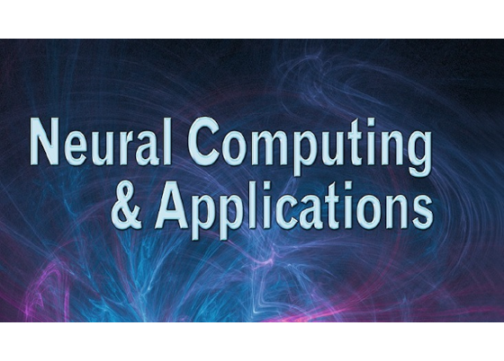 Paper accepted in Neural Computing and Applications